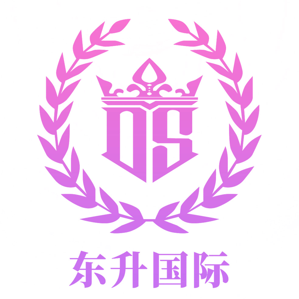 东升国际